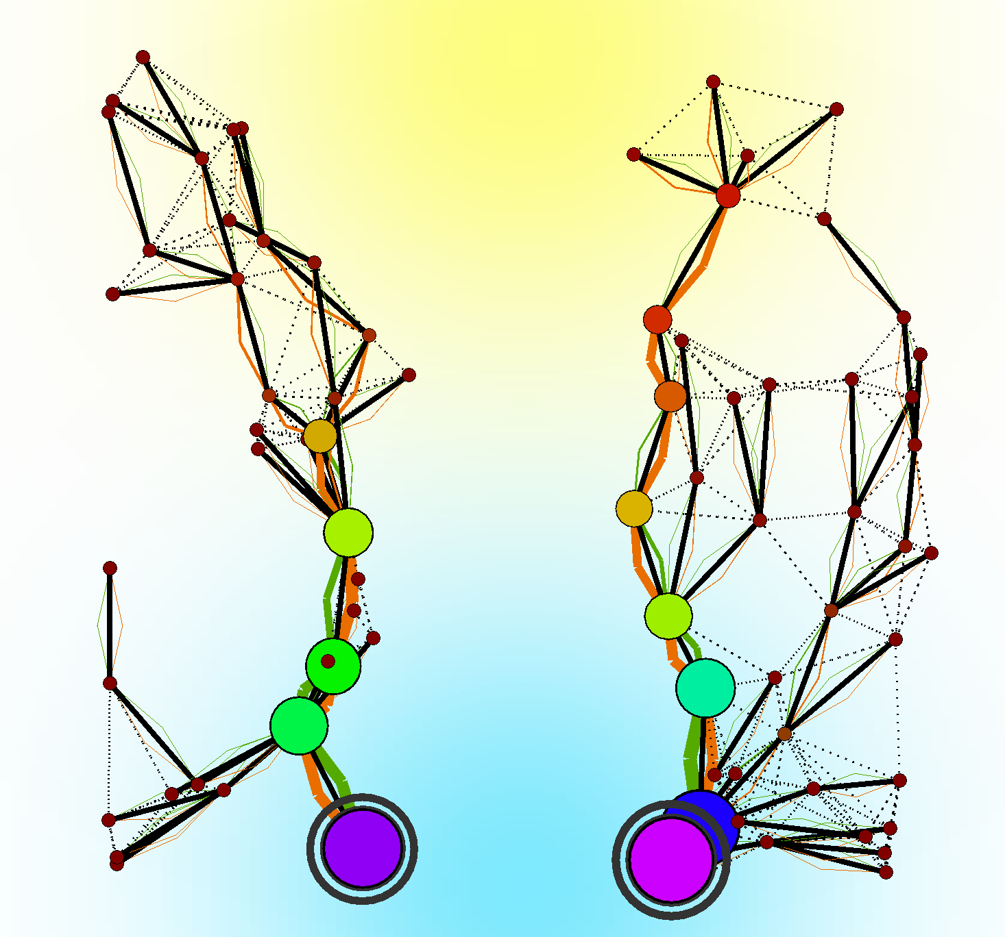 self-organised_structure_after_cutting